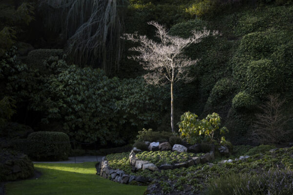 Winter Garden Insights 2026