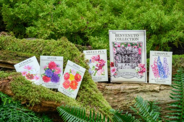 Seed & Gift Store: Seed Collections