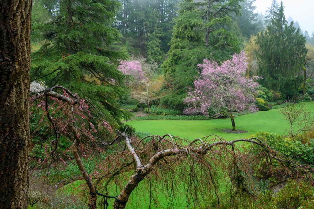 Go to Photos in Season