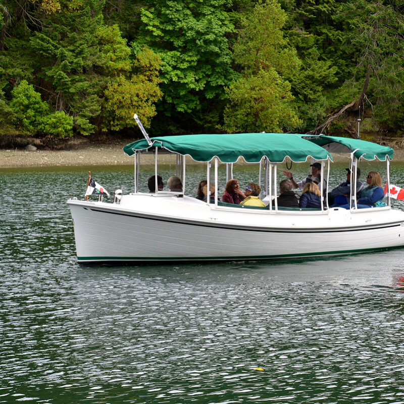 Go to Boat Tours
