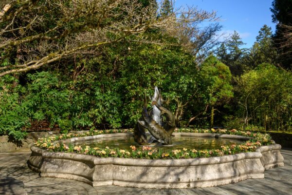 March 2026 Garden Report