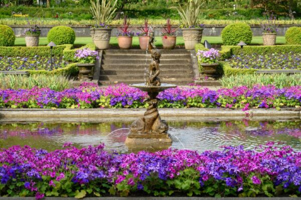 Spring Garden Insights 2026