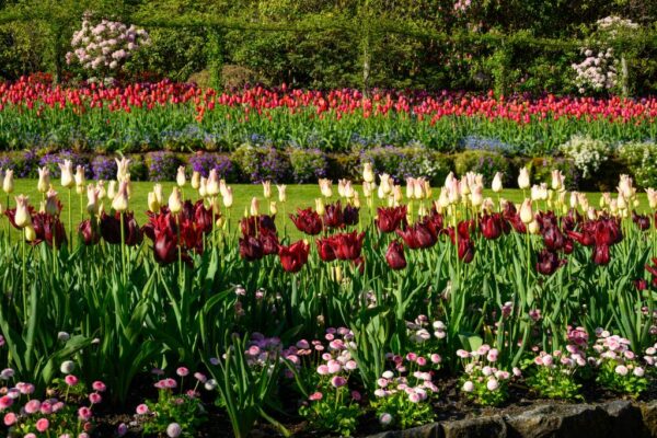 April 2026 Garden Report