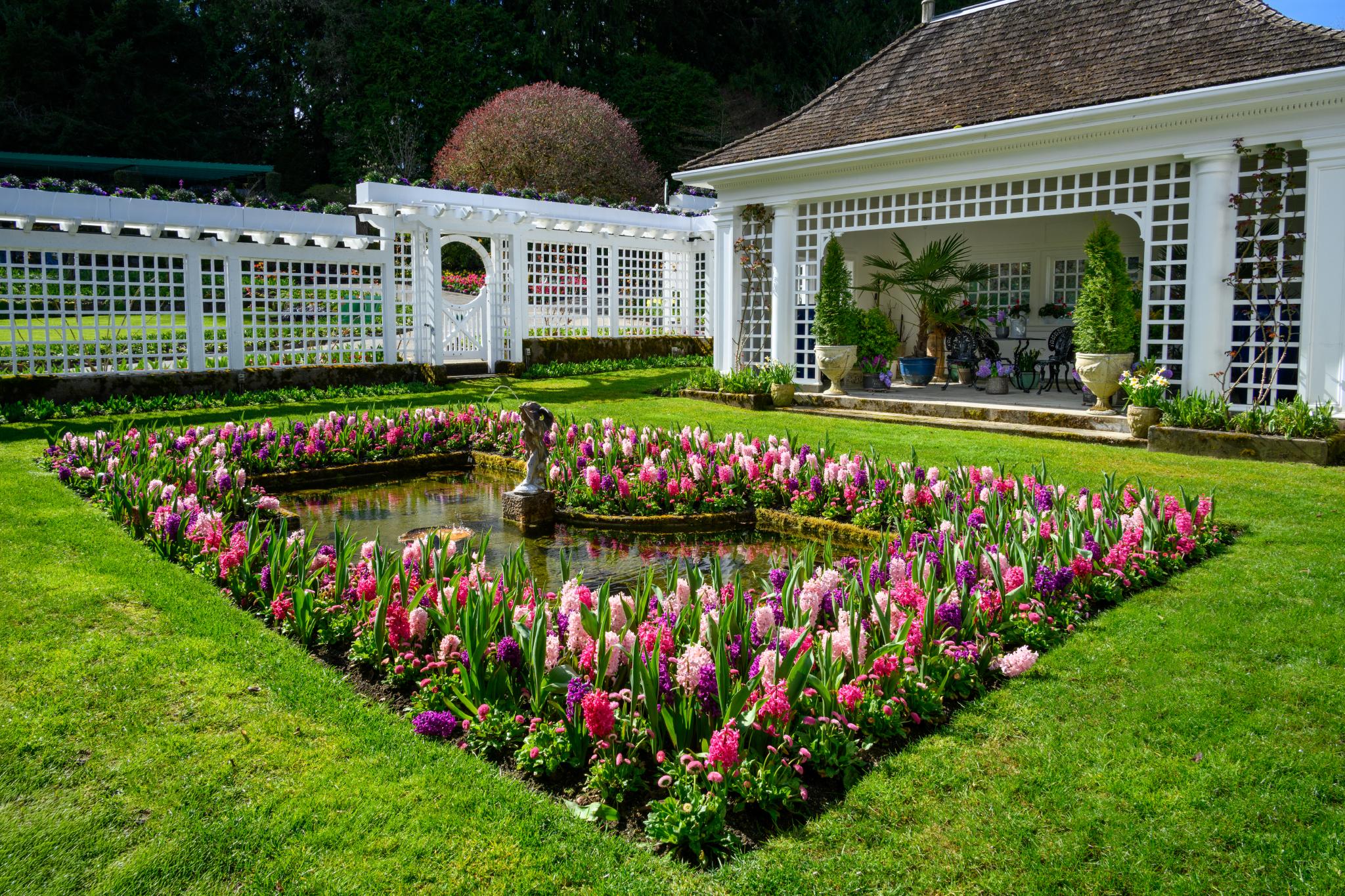 A landscaped garden featuring a rectangular pond surrounded by vibrant pink and purple flowers, likely belonging to the genus Antirrhinum (snapdragon). The garden is bordered by a white lattice structure and includes a small fountain at the center of the pond. A building with a sloped roof is visible in the background, along with manicured grass and ornamental plants
