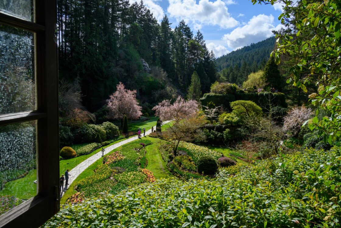 Go to Photos in Season