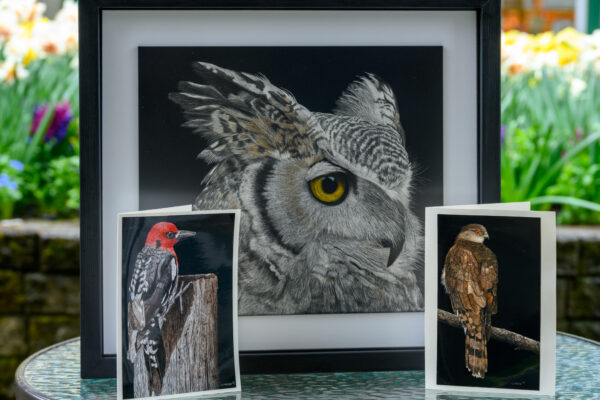 Gallery Artist: Sharon Lennox