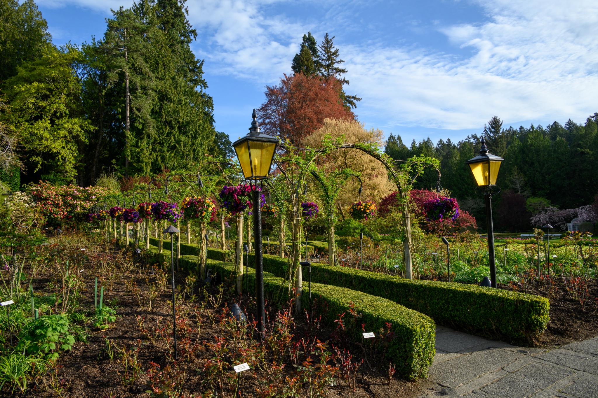 A landscaped garden featuring neatly trimmed hedges and pathways. Two decorative lampposts are positioned along the path, adorned with hanging flower baskets. In the background, various trees display autumn foliage, with a mix of green and reddish leaves. The scene is set under a clear blue sky