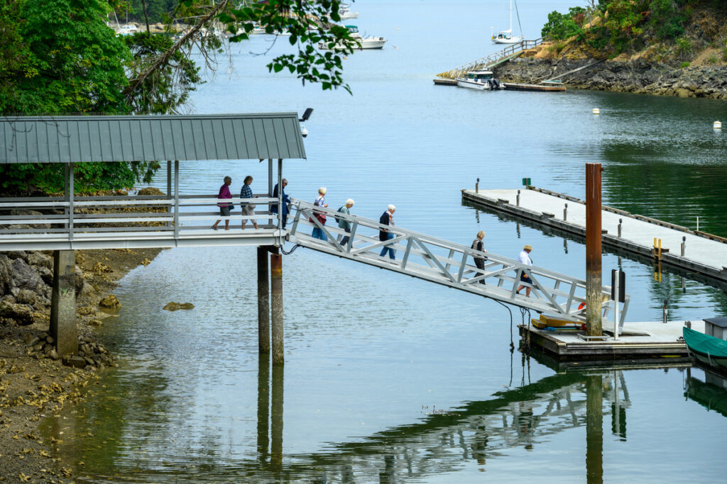 A group of six people walks along a wooden dock leading to a marina, with boats moored in the water. The scene is surrounded by trees and rocky shores, reflecting in the calm water