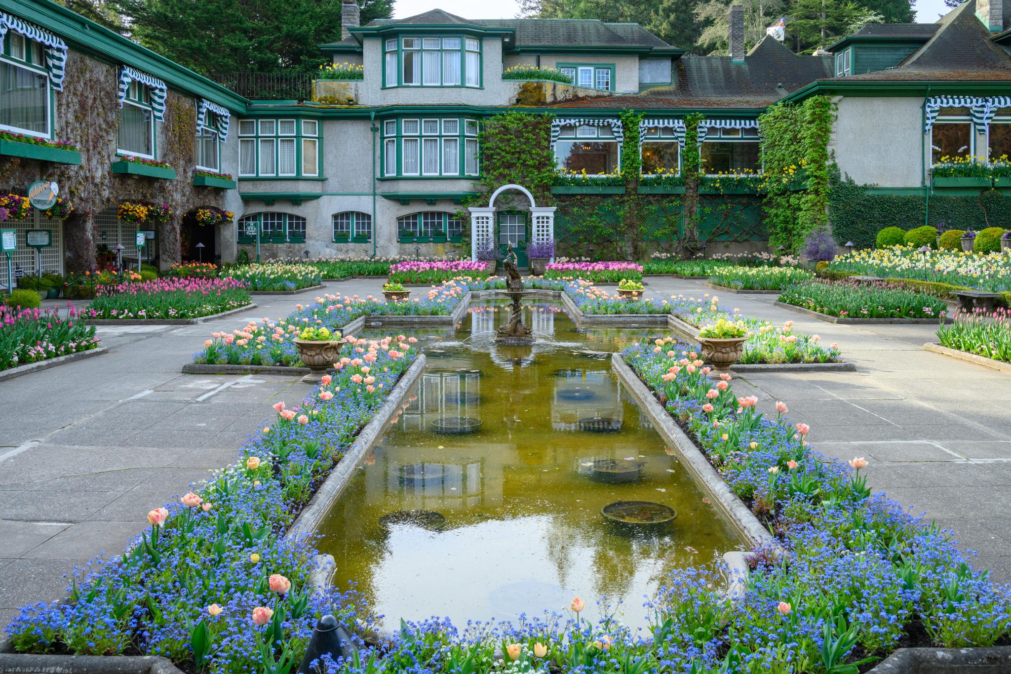 A landscaped courtyard featuring a central pond reflecting surrounding greenery and a building with large windows. The area is bordered by colorful flower beds, primarily consisting of tulips and blue flowers, arranged in neat rows. The architecture is characterized by a green and gray color scheme, with ivy climbing the walls