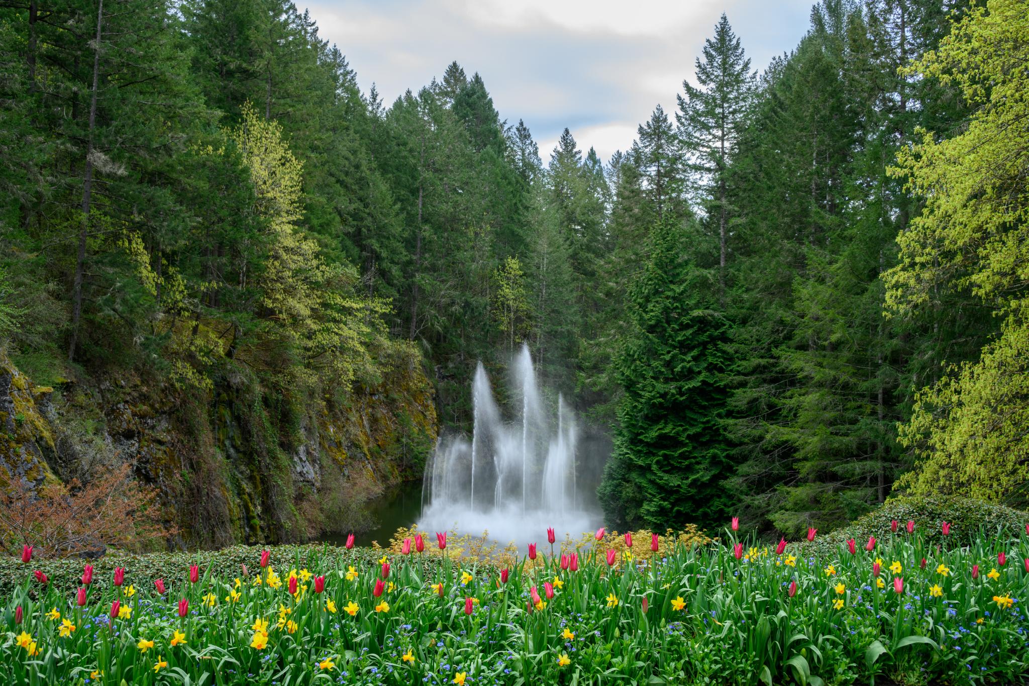 A vibrant field of tulips in various colors, including red and yellow, is in the foreground. Behind the flowers, a waterfall cascades down a rocky cliff, surrounded by lush green trees and foliage. The scene is set against a cloudy sky