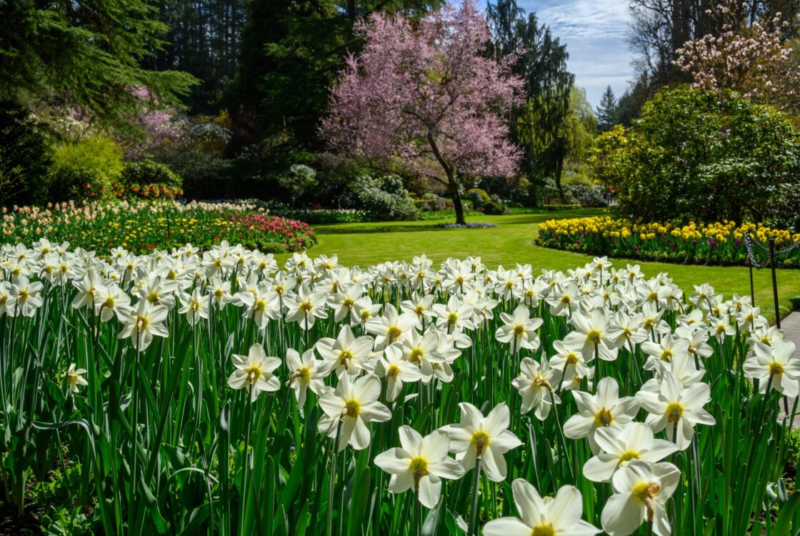 Go to Photos in Season