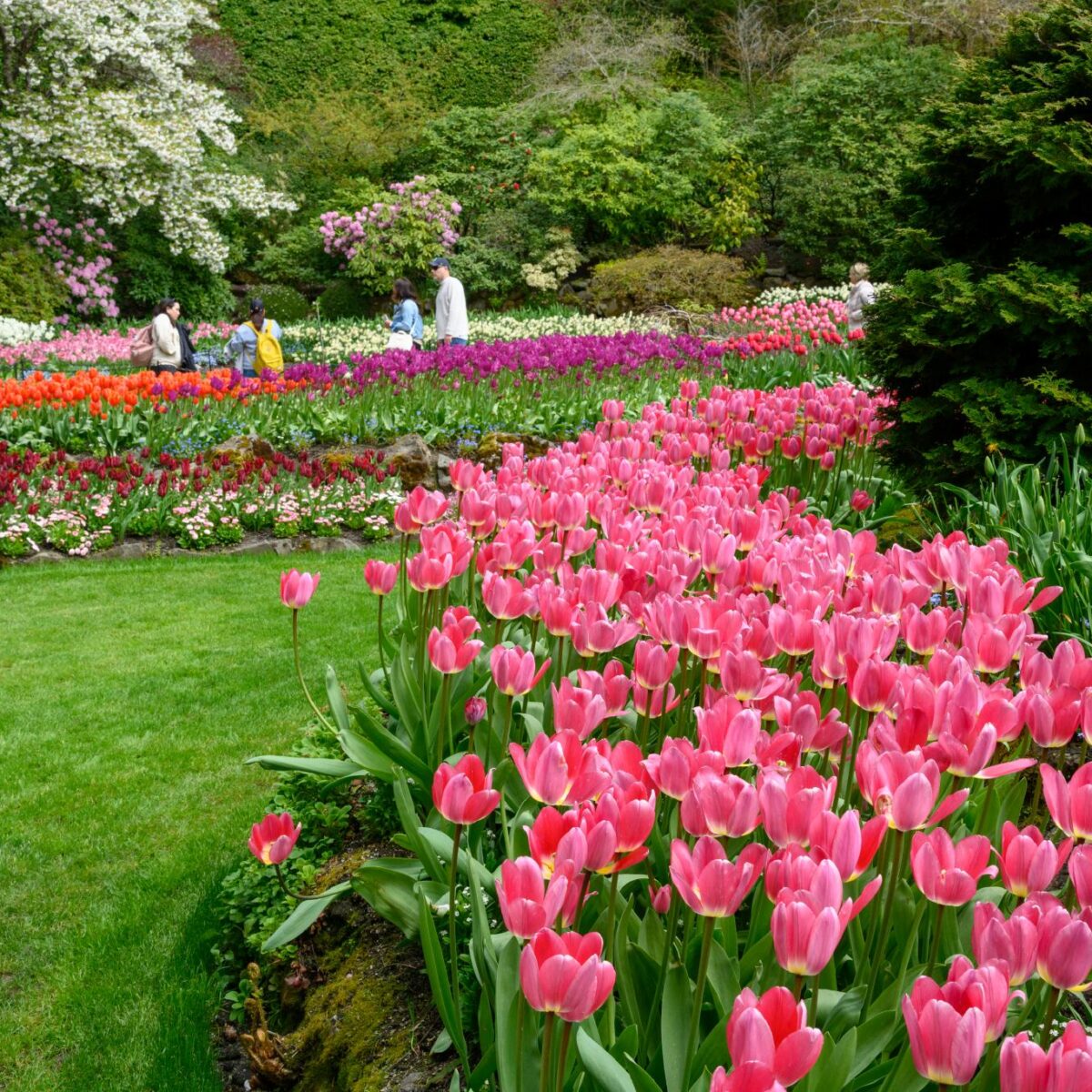 Go to Spring