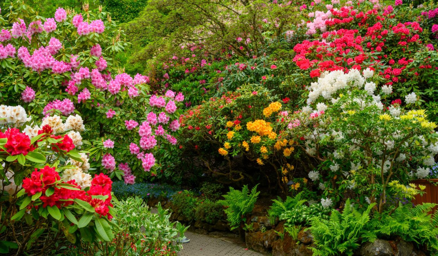 May 2026 Garden Report