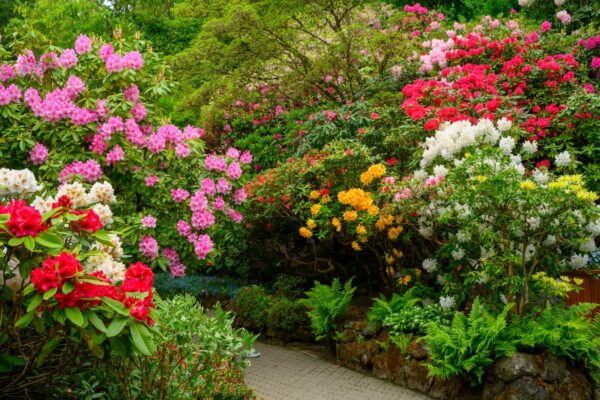 May 2026 Garden Report