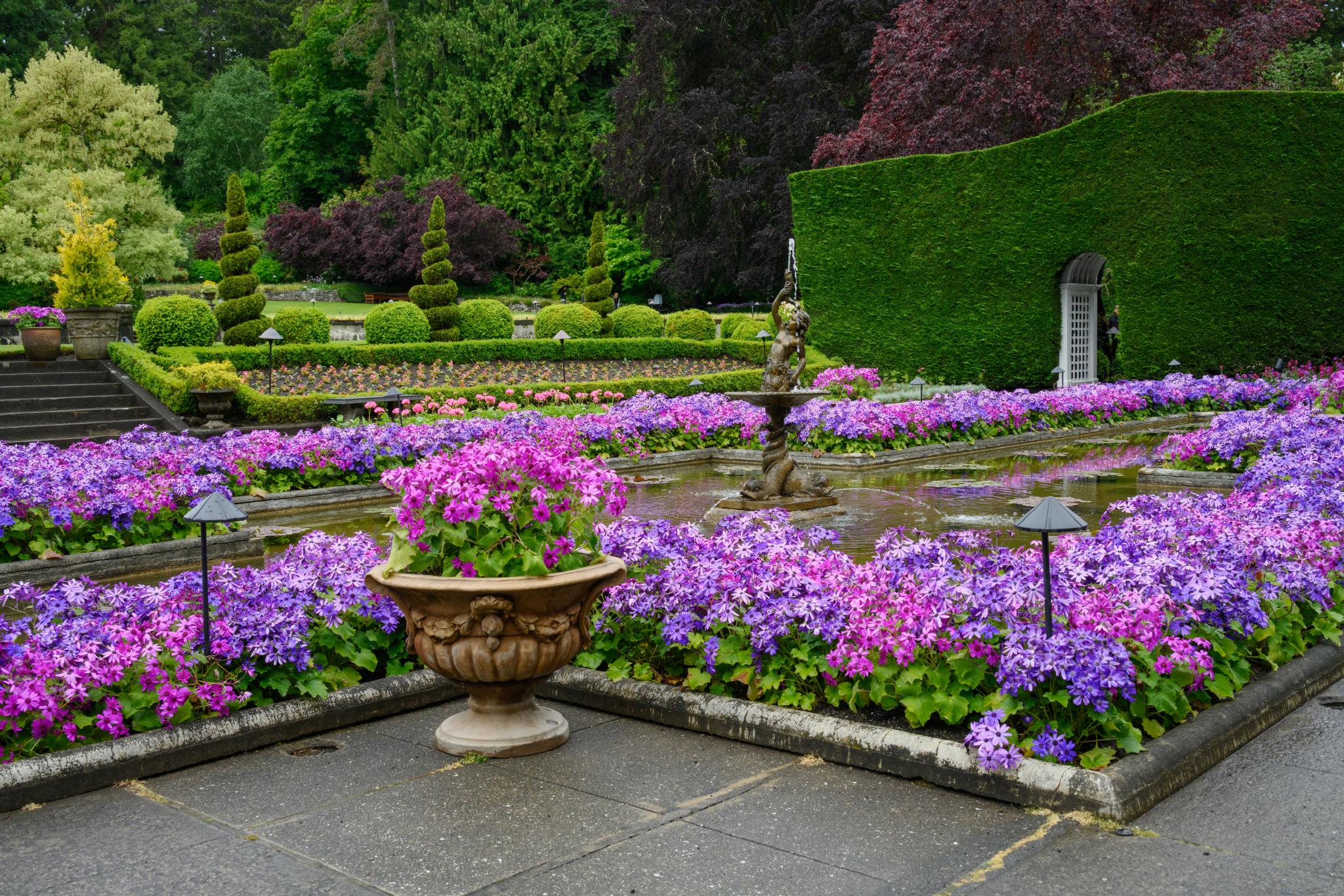 A landscaped garden featuring a variety of colorful flowers, predominantly purple and pink, likely belonging to the genus Phlox. The garden includes neatly trimmed hedges, ornamental shrubs, and a central fountain surrounded by flower beds. Stone pathways and decorative lanterns are visible throughout the area