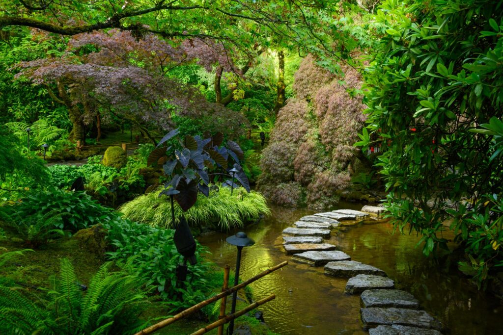 A serene garden scene featuring a winding stone path leading through lush greenery. Various plants, including ferns and small trees with delicate pink foliage, create a vibrant landscape. The area is shaded by larger trees, contributing to a tranquil atmosphere. A small body of water reflects the surrounding plants