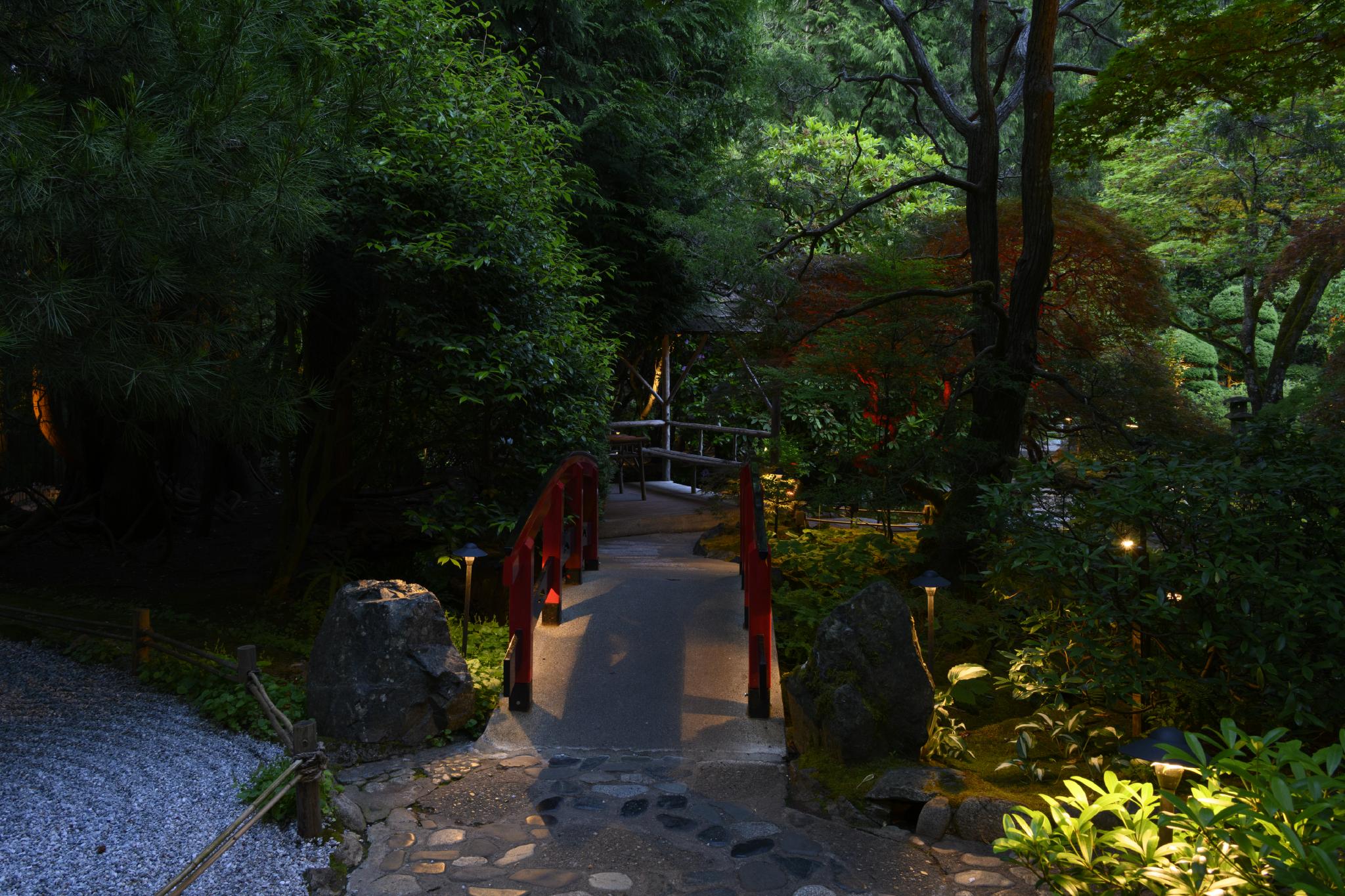 A stone pathway leads through a lush garden, illuminated by soft lights. A red wooden bridge arches over a small stream, surrounded by various green plants and trees. The scene is tranquil, with a mix of shadows and gentle lighting creating a serene atmosphere