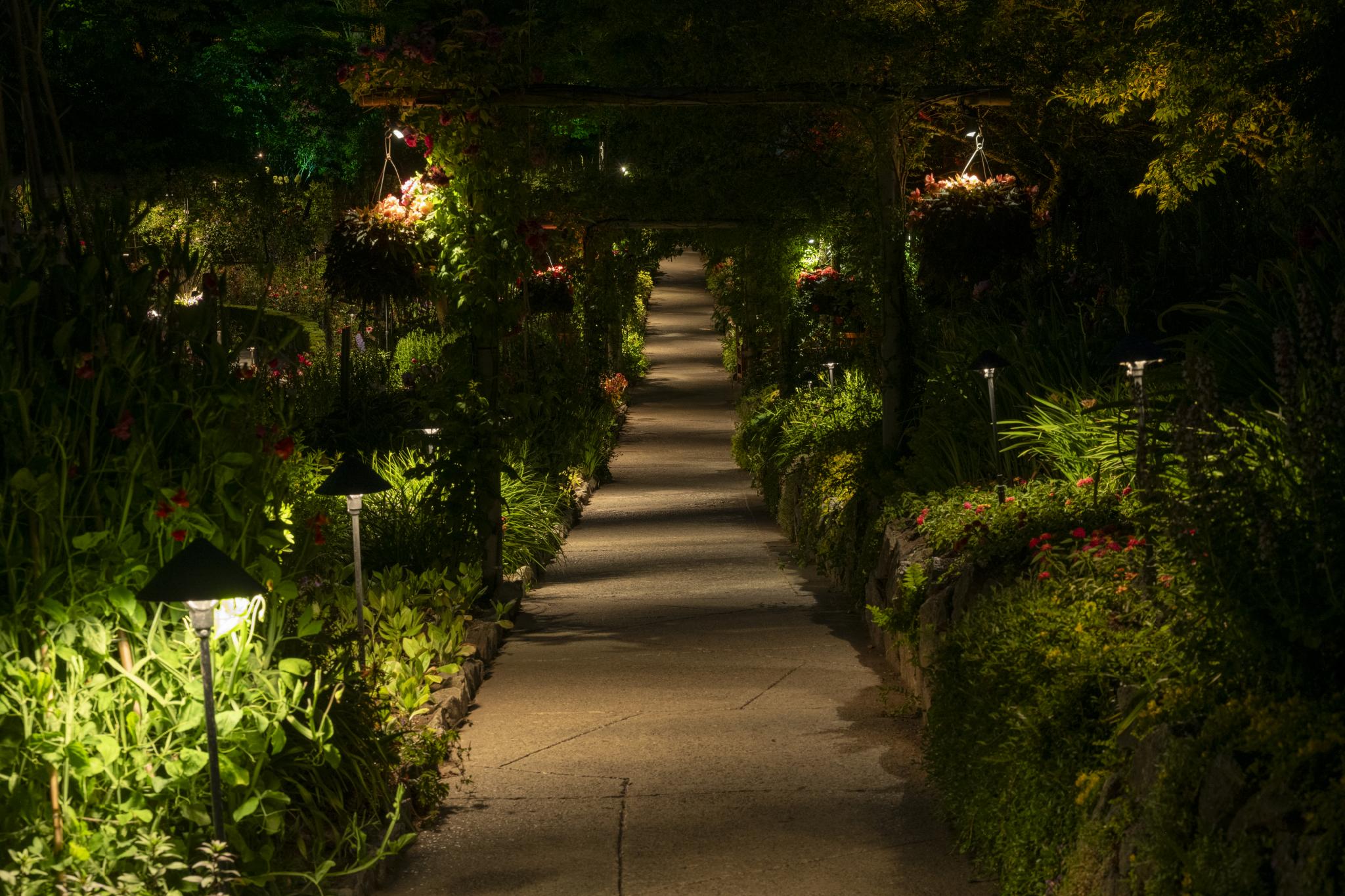 A well-lit garden pathway at night, bordered by lush greenery and flowering plants. The path is lined with small, illuminated lanterns, creating a warm ambiance. Hanging flower baskets are visible along the sides, contributing to the vibrant landscape