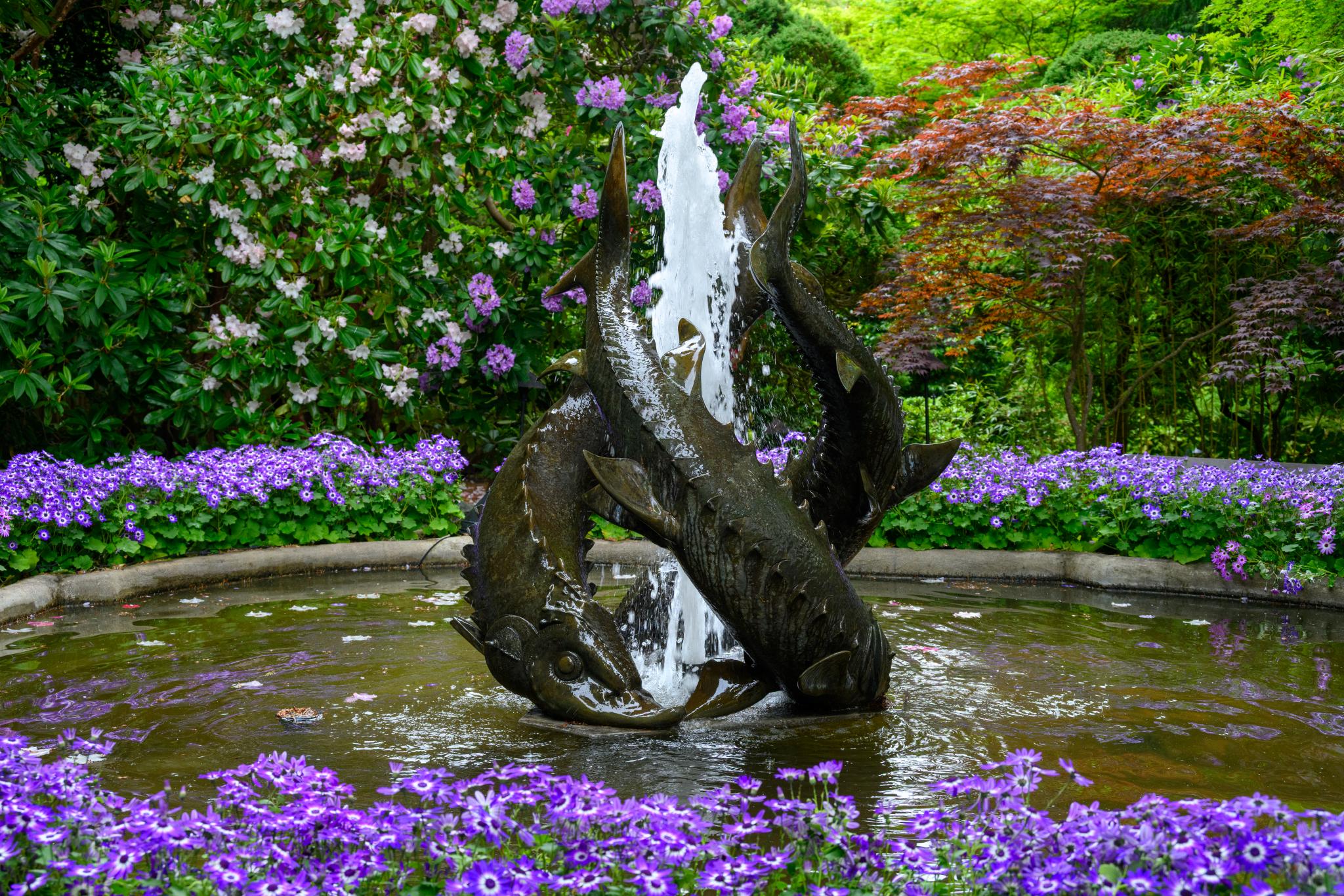A bronze fountain featuring three stylized fish, with water cascading from their mouths into a circular pond. Surrounding the pond are vibrant purple flowers, likely from the genus Viola, and lush green foliage in the background, including various shrubs and trees