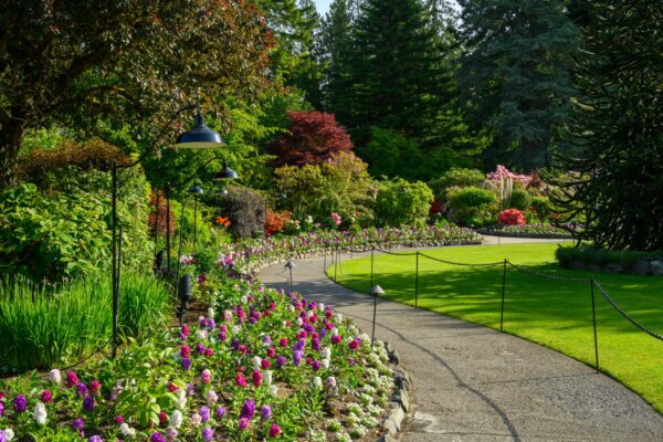 June 2026 Garden Report