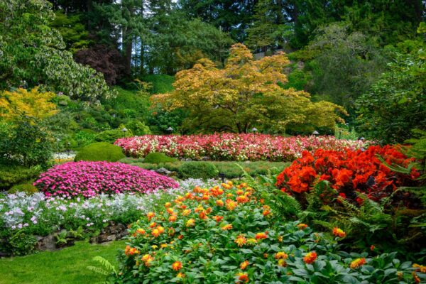 Summer Garden Insights 2026