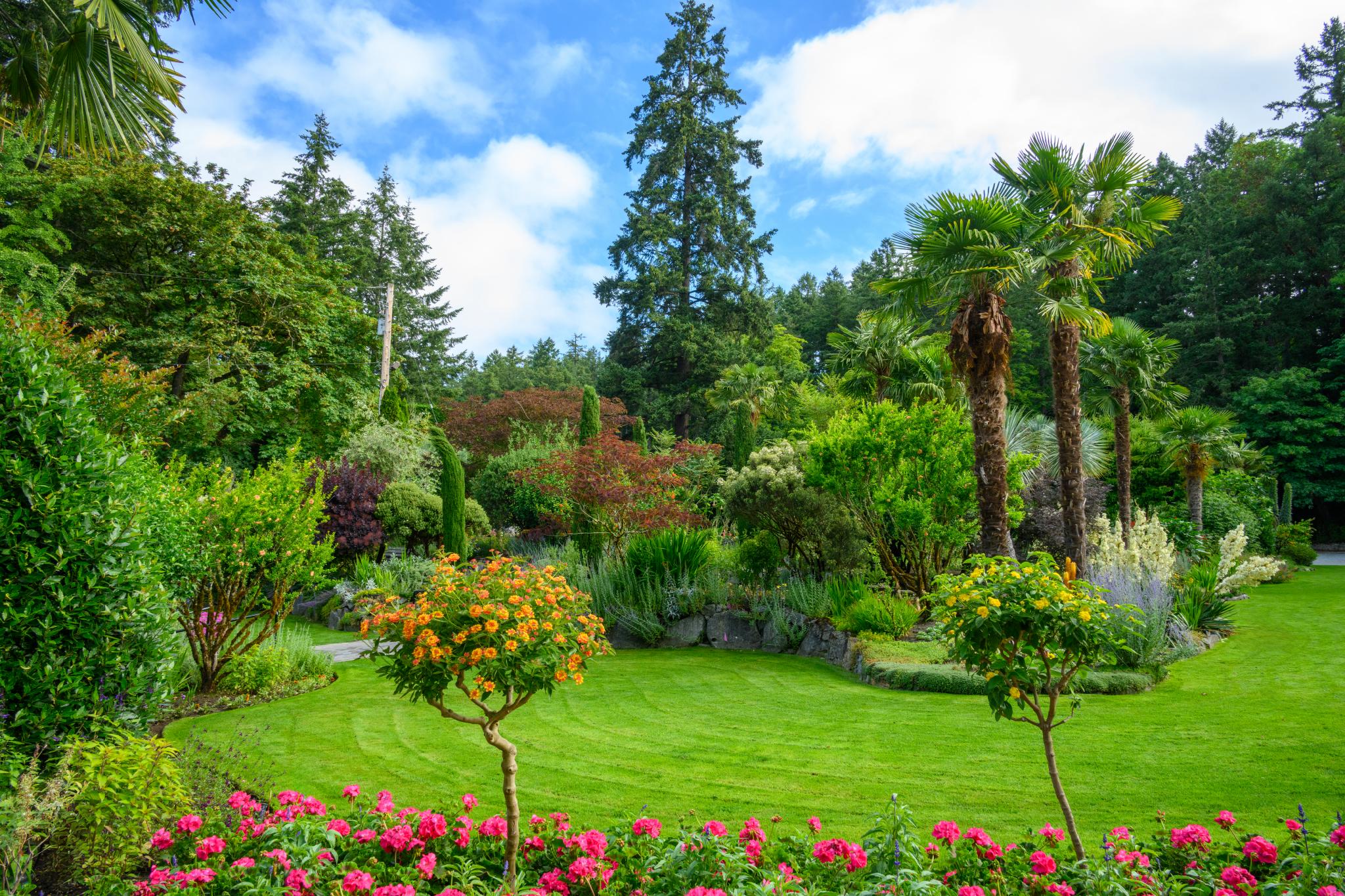 A lush garden scene featuring a variety of plants, including palm trees and flowering shrubs. In the foreground, two small, rounded trees with orange flowers are visible, surrounded by a bed of pink flowers. The background includes a mix of greenery, including tall trees and diverse foliage, under a partly cloudy blue sky