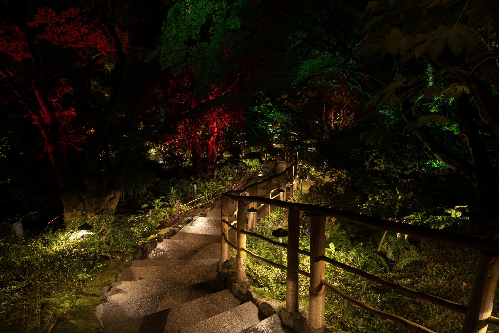 A winding stone pathway leads down through a lush garden illuminated by colorful lights. The surrounding foliage includes various trees and plants, creating a dense, vibrant atmosphere. A wooden railing runs alongside the path, enhancing the natural setting
