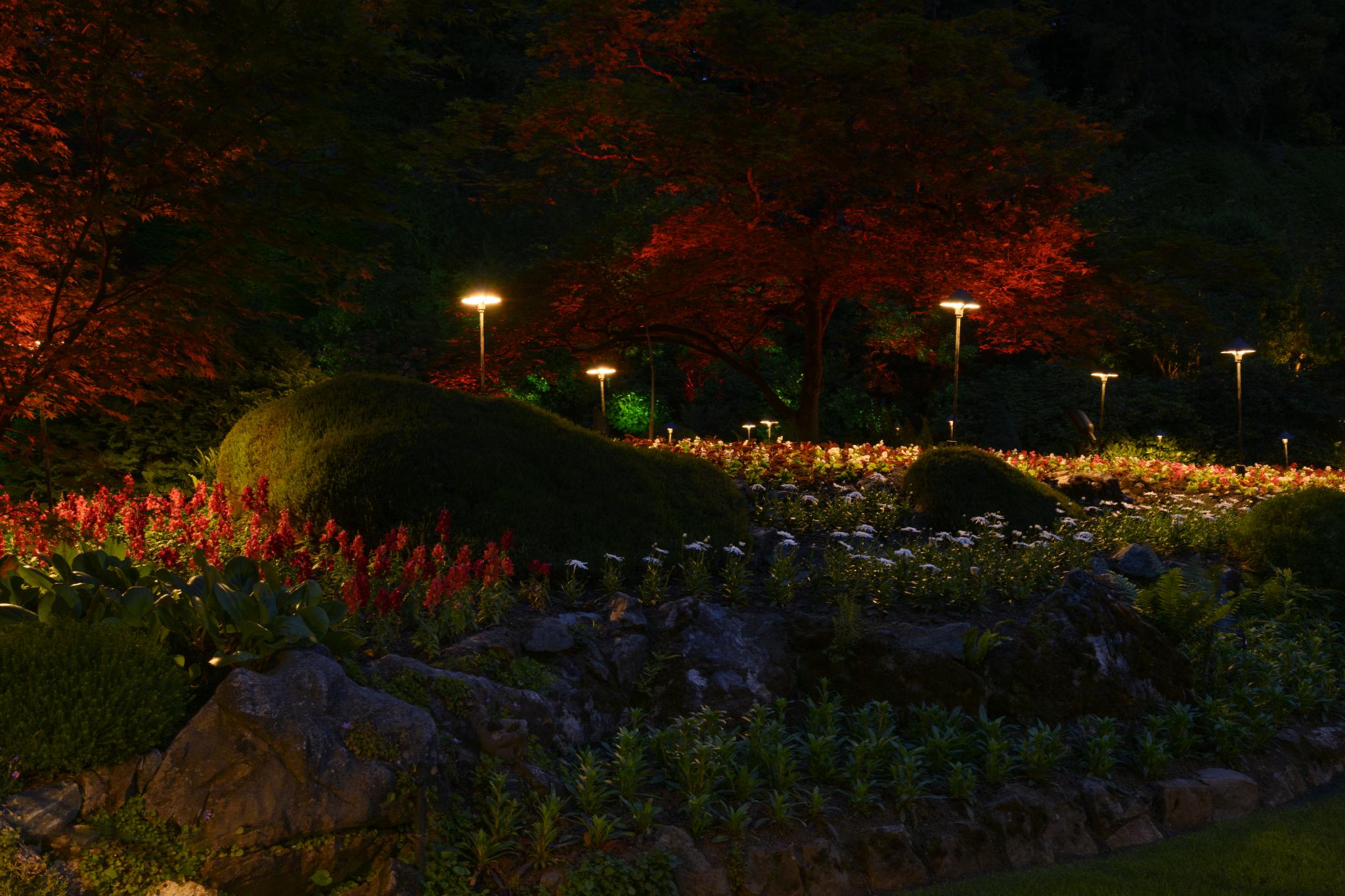 A landscaped garden at night featuring illuminated pathways and various flowering plants. The scene includes clusters of red and white flowers, with green foliage and a backdrop of trees displaying autumn colors. Soft lighting highlights the contours of the garden's mounds and pathways