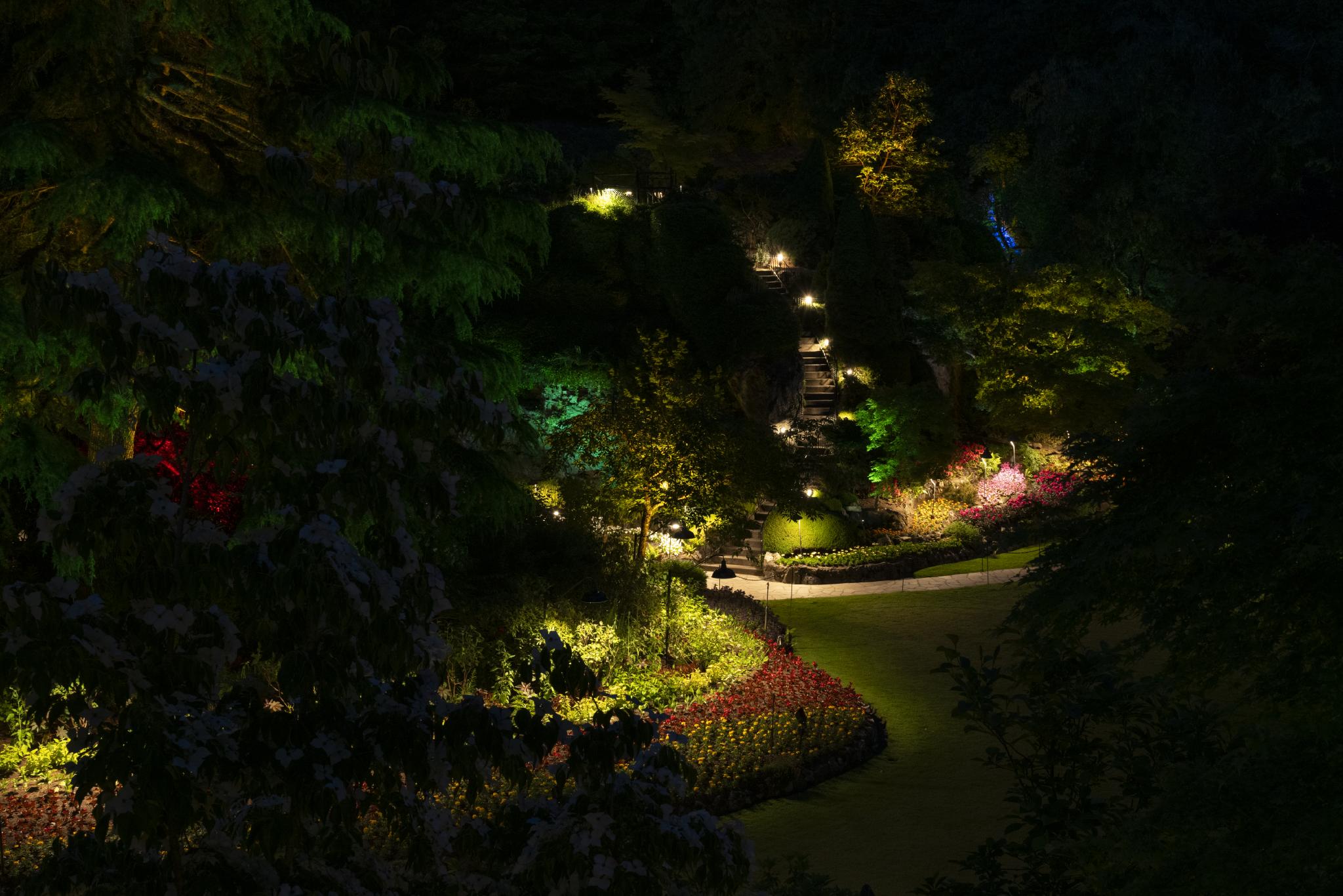 A landscaped garden at night, featuring illuminated pathways and various plants. The scene includes colorful flower beds and trees, with soft lighting highlighting the contours of the terrain. The overall atmosphere is serene and inviting