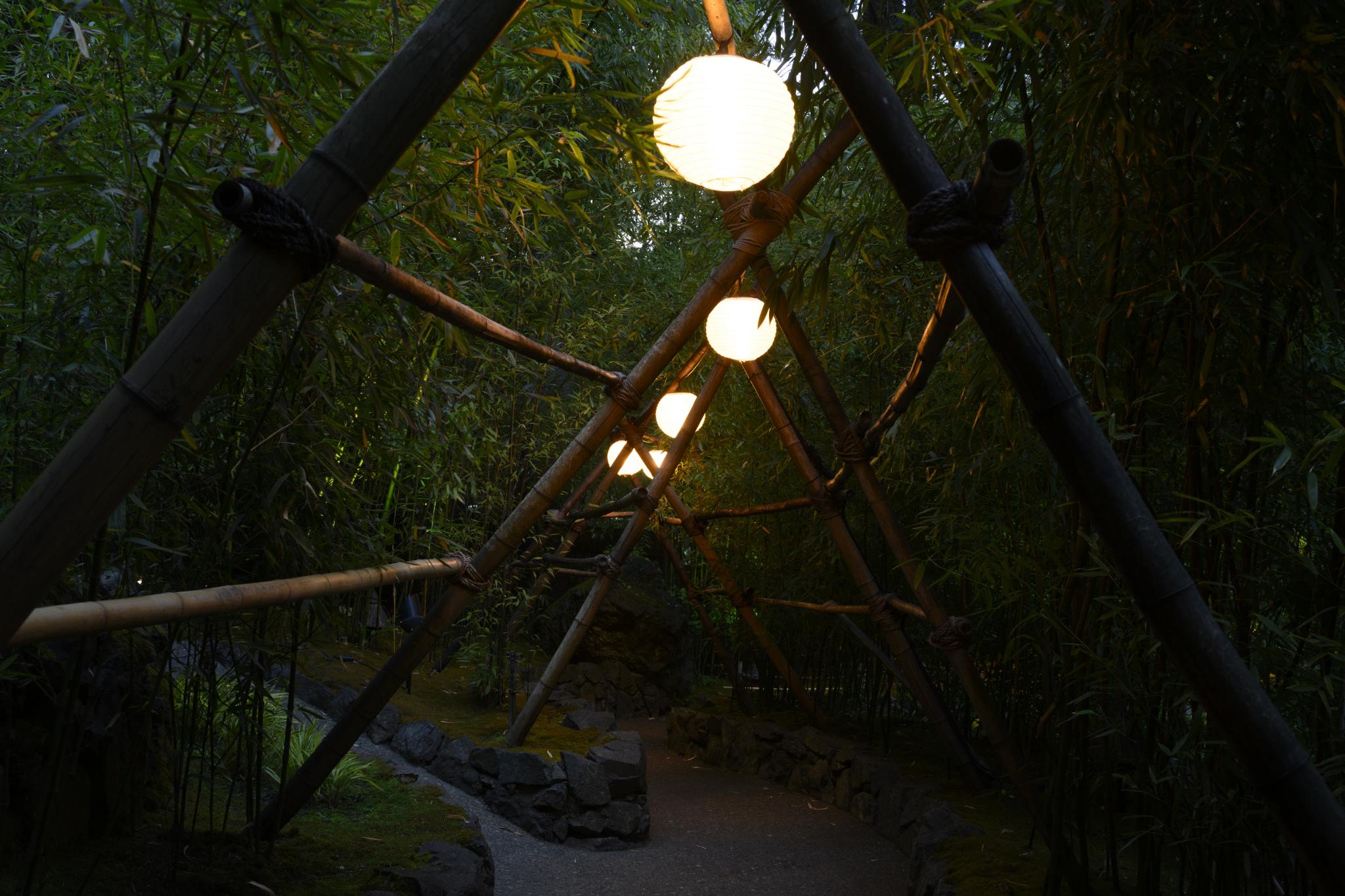 A pathway framed by bamboo structures, with round lanterns hanging from the beams, illuminating the space. Surrounding the pathway are dense clusters of bamboo plants, creating a serene and natural atmosphere