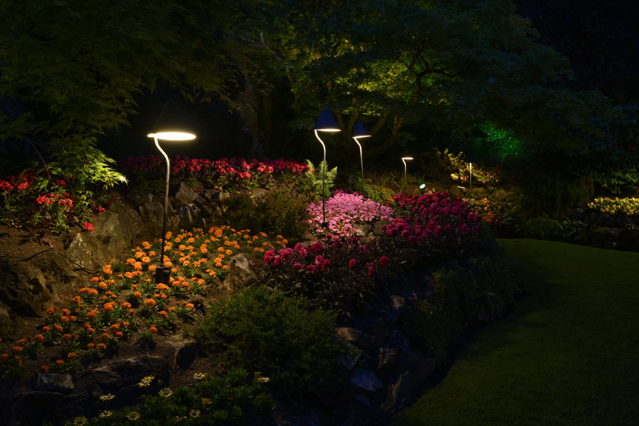A garden at night featuring illuminated pathways lined with colorful flowers. The plants include vibrant orange and pink blooms, possibly of the genus Impatiens, arranged in a tiered landscape with decorative lighting highlighting the floral display. Lush greenery surrounds the flower beds, creating a serene atmosphere