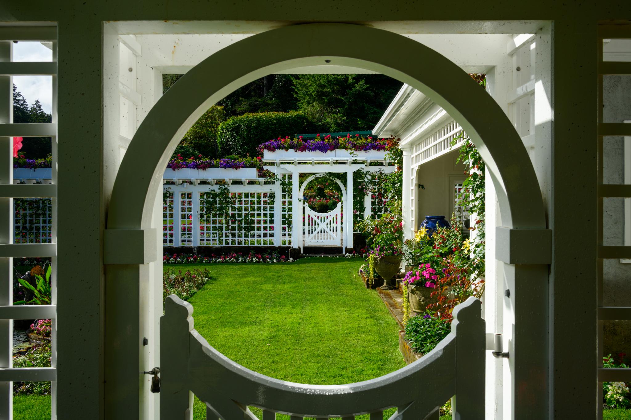 A white wooden gate with an arched top opens to a well-maintained garden. The garden features green grass and white trellises adorned with colorful flowers, creating a picturesque scene framed by the gate