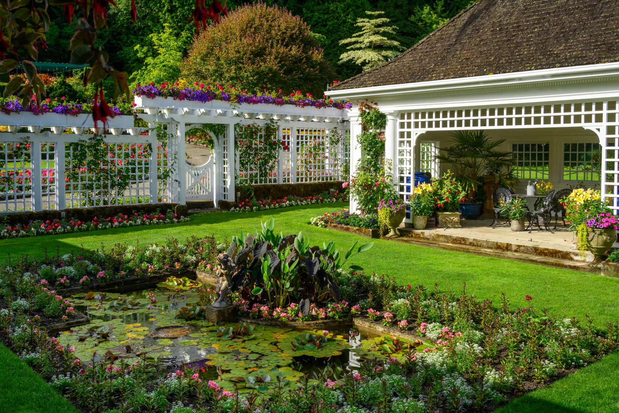 A well-maintained garden featuring a pond with water lilies, surrounded by colorful flowering plants. A white trellis with climbing flowers is visible in the background, along with a gazebo-like structure. The lawn is neatly trimmed, and various potted plants are arranged around the area
