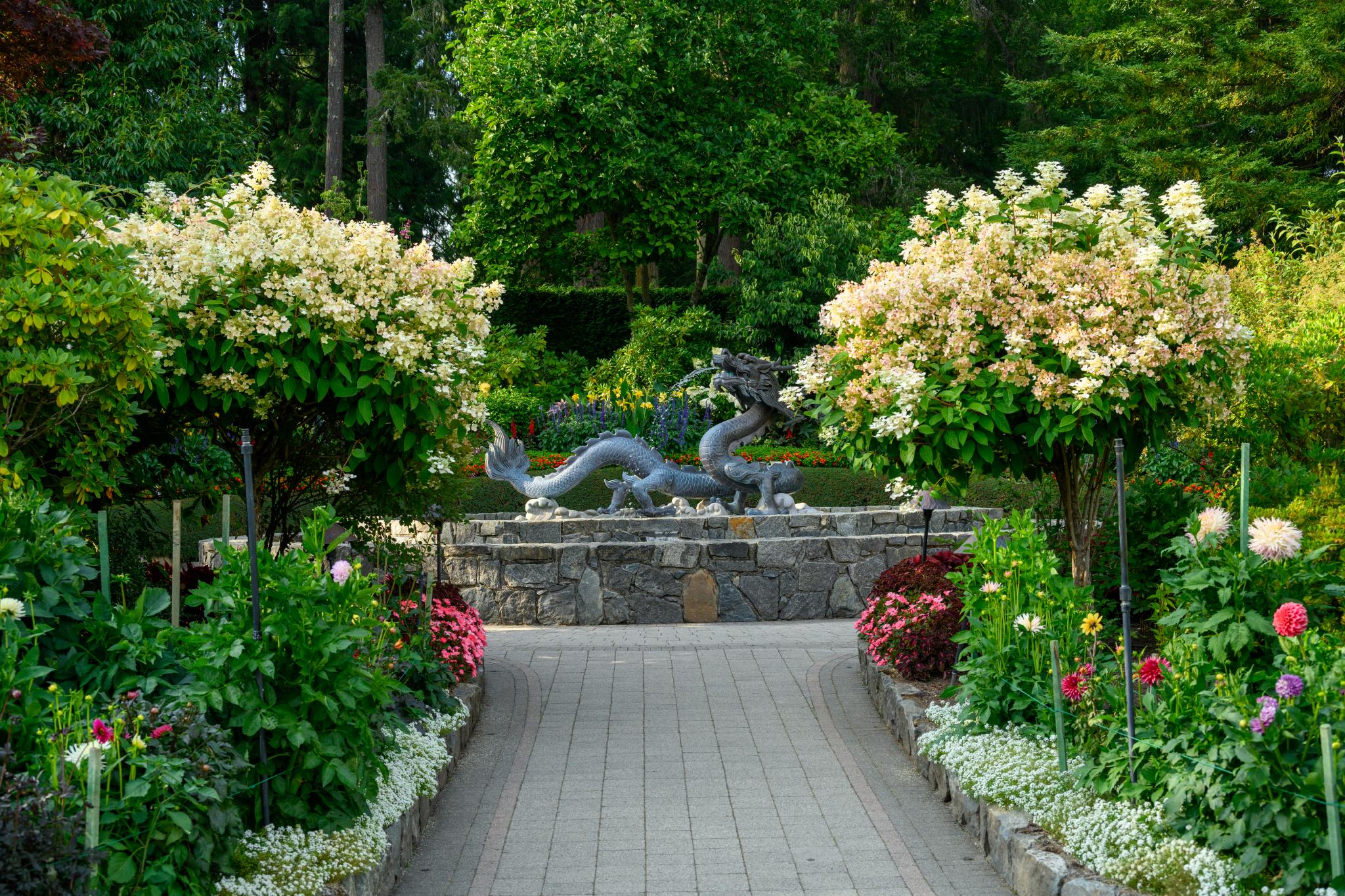 A landscaped garden pathway lined with flowering shrubs and plants, including rounded topiary with clusters of white flowers. In the background, a stone wall features two dragon sculptures, surrounded by lush greenery and colorful flower beds