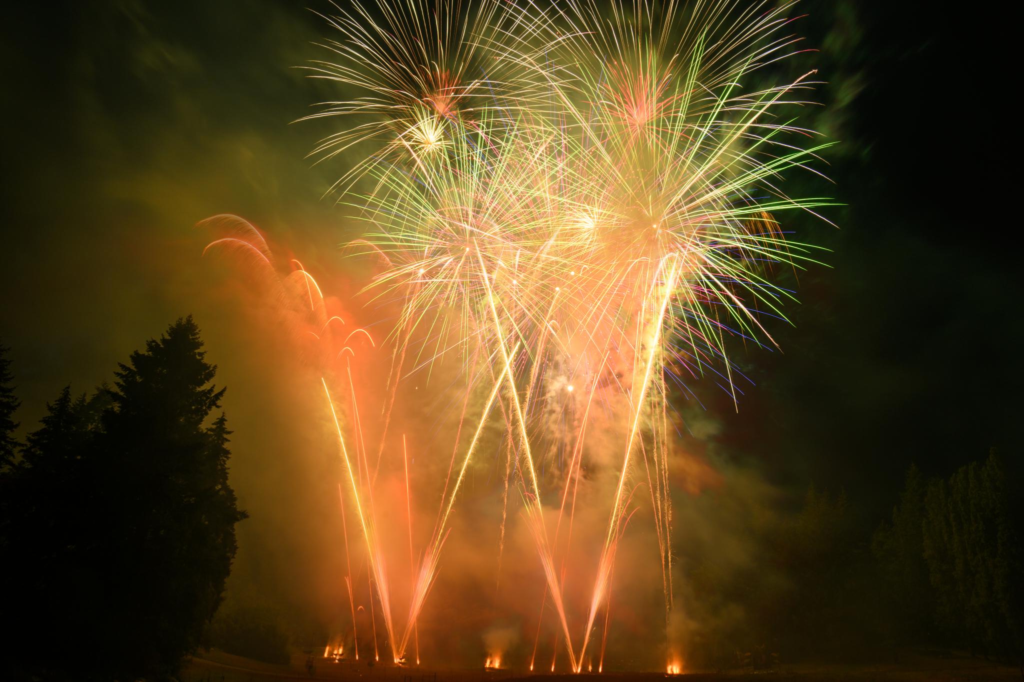 Brightly colored fireworks burst in the night sky, displaying vibrant greens, reds, and yellows. The fireworks create various shapes, including starbursts and trails, against a dark backdrop. Silhouetted trees are visible in the foreground