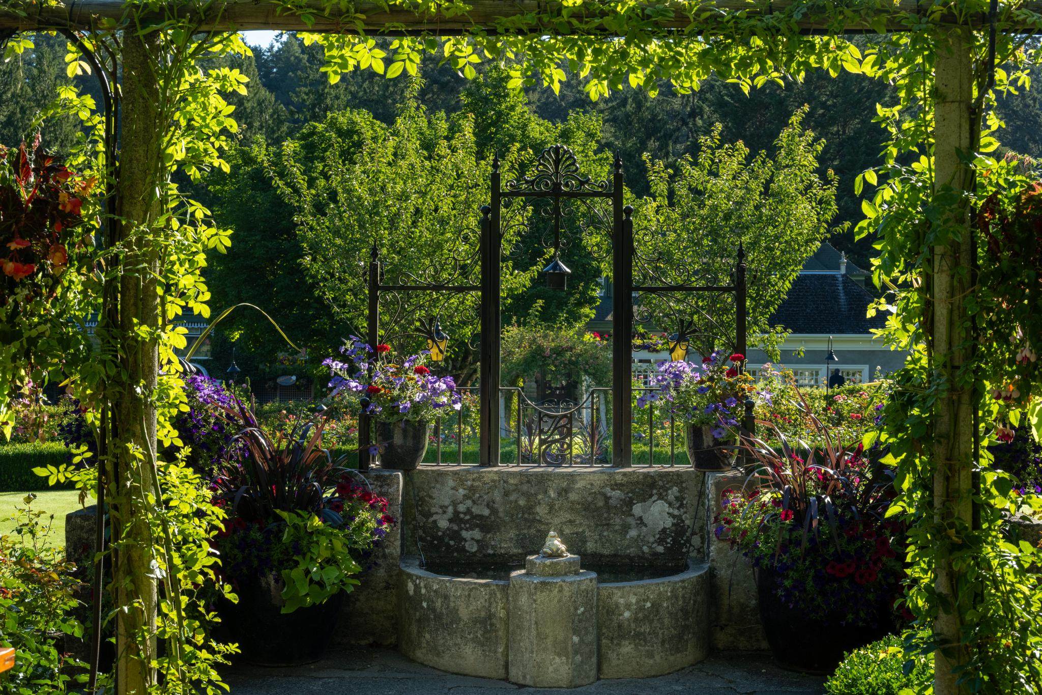 A stone fountain surrounded by lush greenery and colorful flower arrangements in pots. The scene is framed by a wooden arbor covered in climbing plants, leading to a garden area with trees and additional floral displays in the background