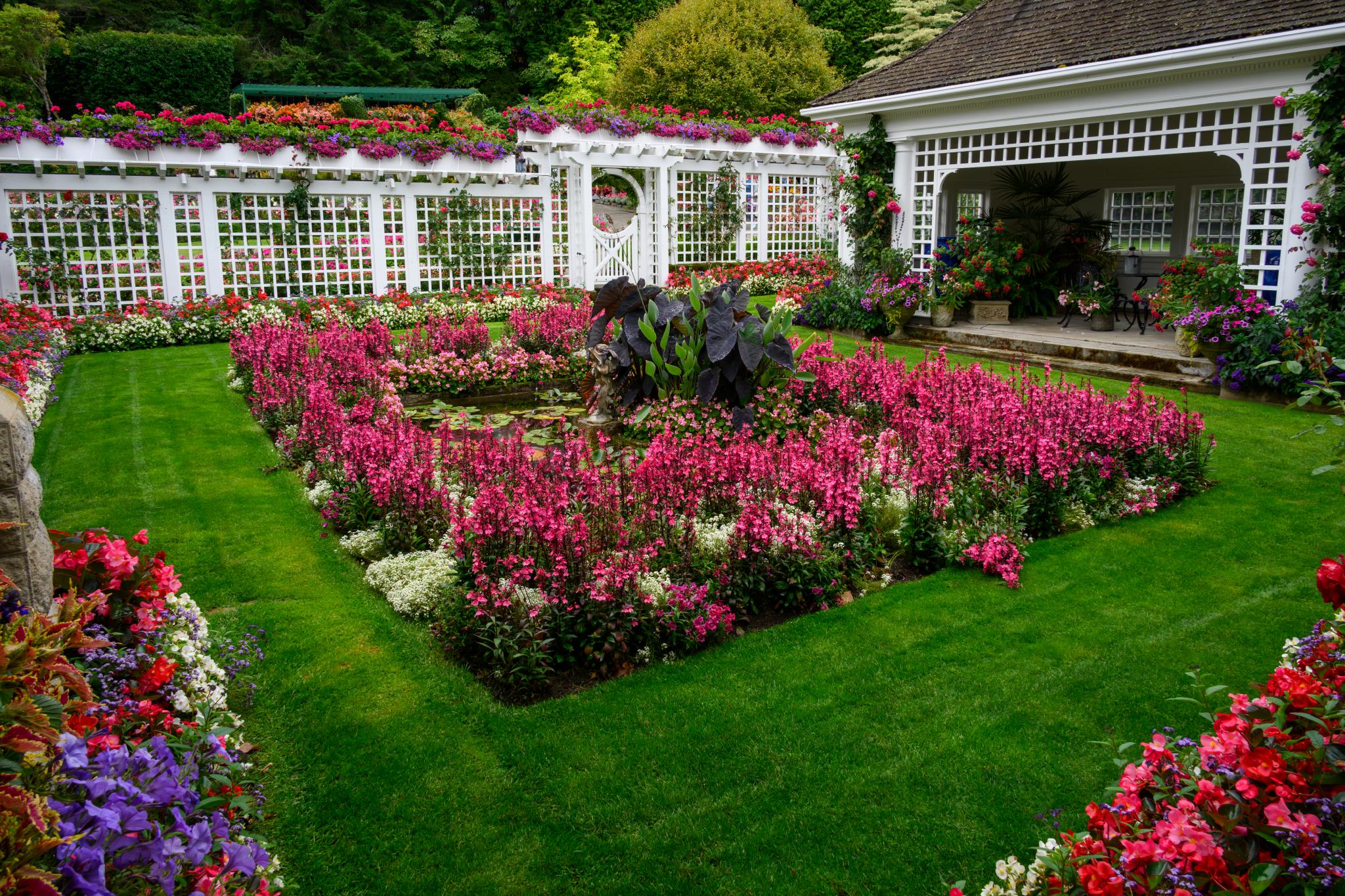 Un jardin bien entretenu, avec au centre un parterre rectangulaire entouré d'une pelouse verdoyante. Le parterre est rempli de mufliers (Antirrhinum majus) d'un rose éclatant et bordé de diverses plantes annuelles colorées. À l'arrière-plan, on aperçoit un treillis orné de plantes à fleurs, ainsi qu'un kiosque blanc.  