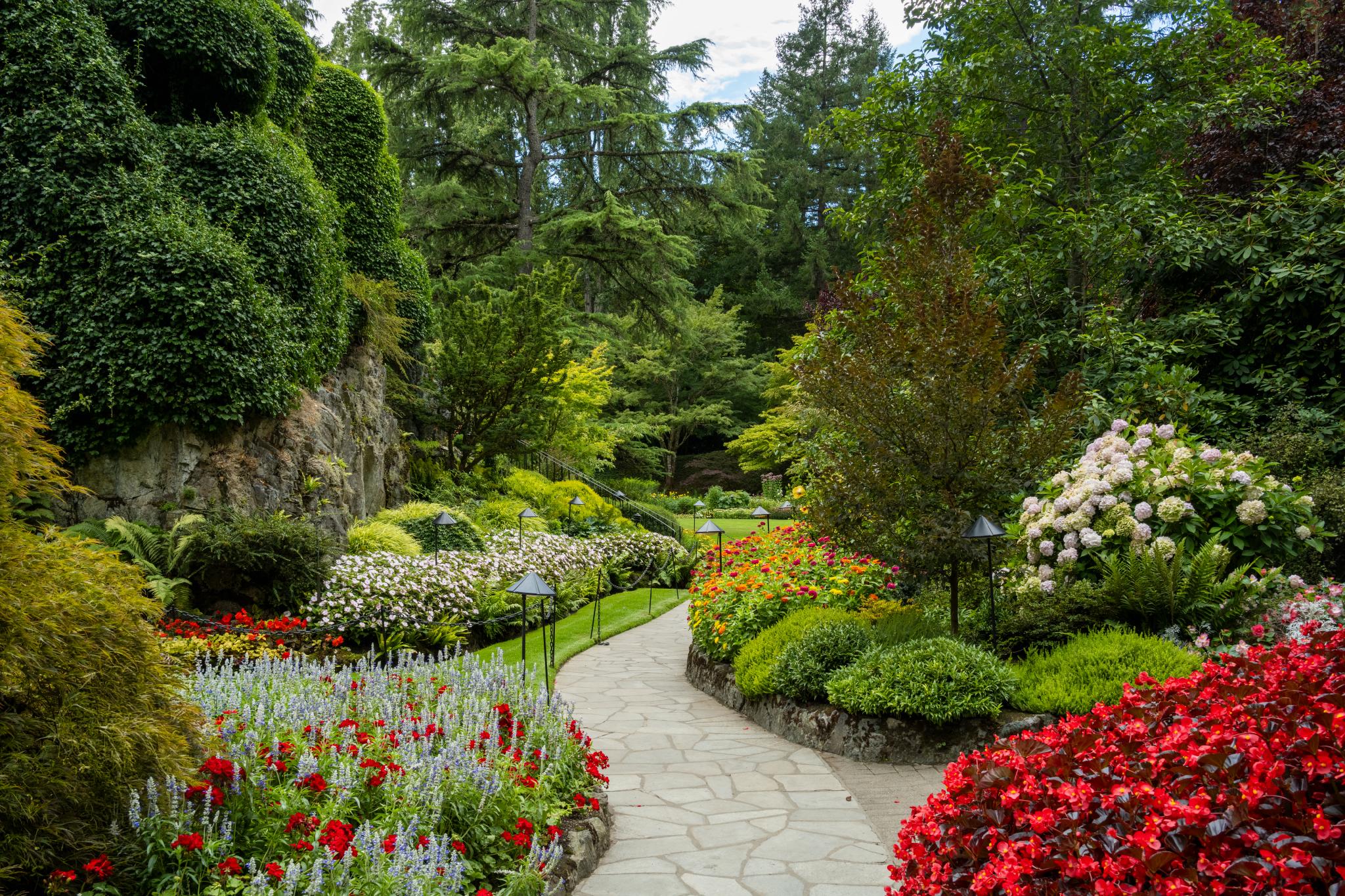 Un jardin paysager agrémenté d'une allée sinueuse en pierre, entourée de diverses plantes à fleurs et d'arbustes. Des fleurs d'un rouge vif et d'un blanc éclatant occupent le premier plan, tandis qu'un feuillage verdoyant et des arbres constituent la toile de fond. Le jardin comprend des groupes d'hortensias et d'autres plantes ornementales, créant ainsi un espace extérieur dynamique et parfaitement entretenu.  