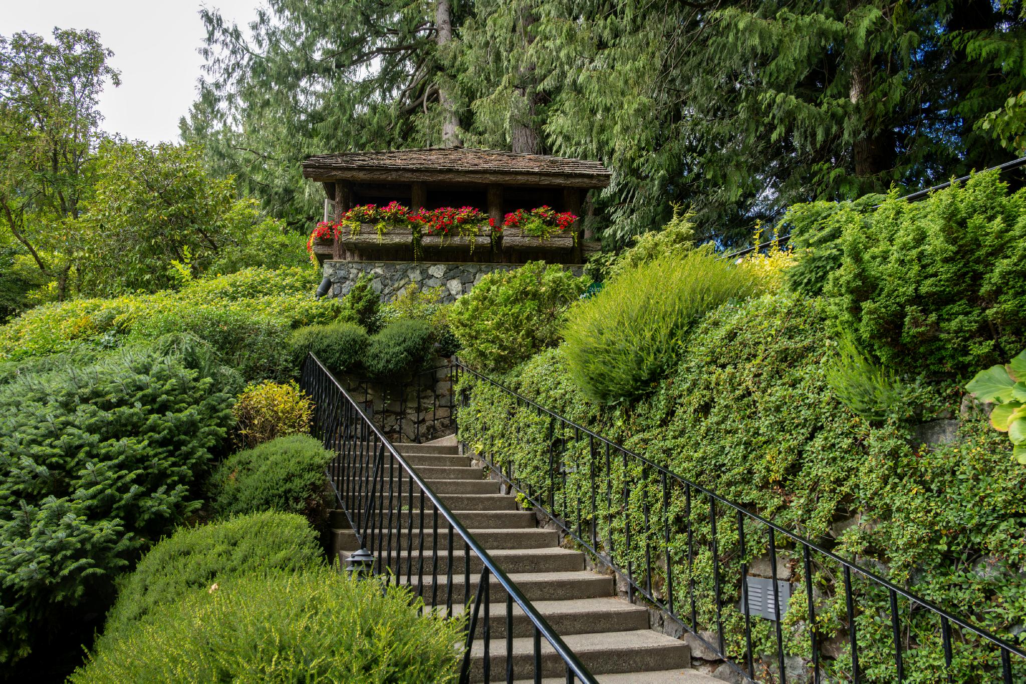 Un escalier en pierre mène, à travers une végétation luxuriante, à un belvédère en bois orné de fleurs colorées. La végétation environnante se compose de divers arbustes et arbres, créant ainsi un cadre naturel et plein de vie. 