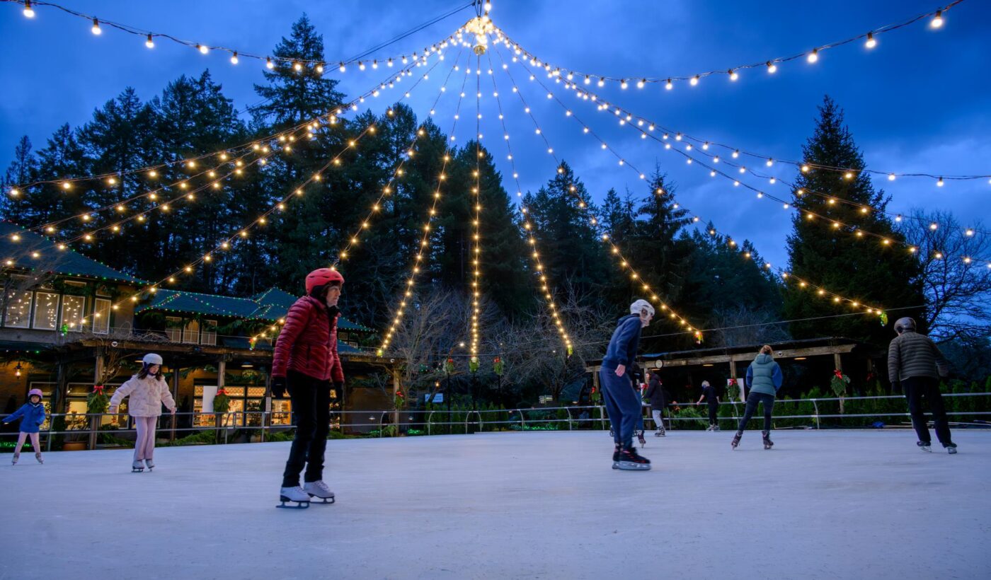 Ice Skating