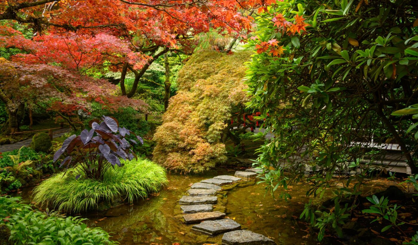 Aperçus du jardin d&rsquo;automne 2026