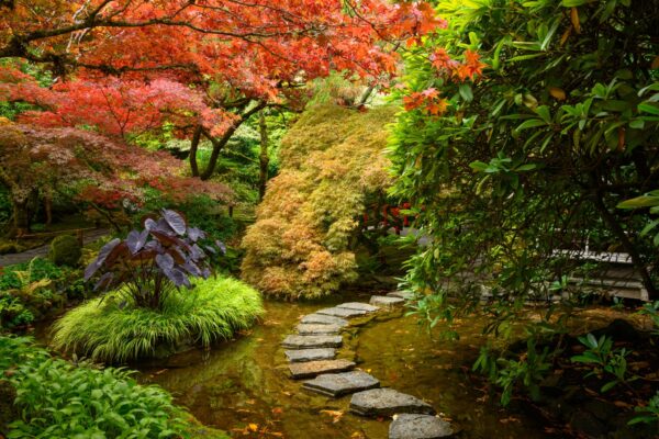 Aperçus du jardin d&rsquo;automne 2026