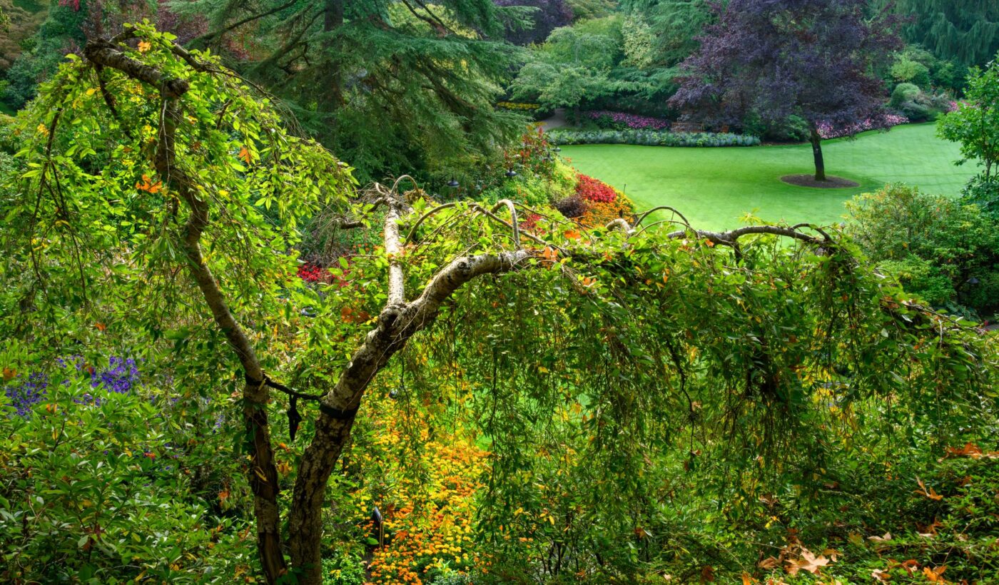 Photos in Season