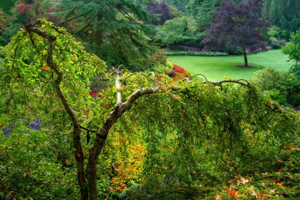 Photos in Season