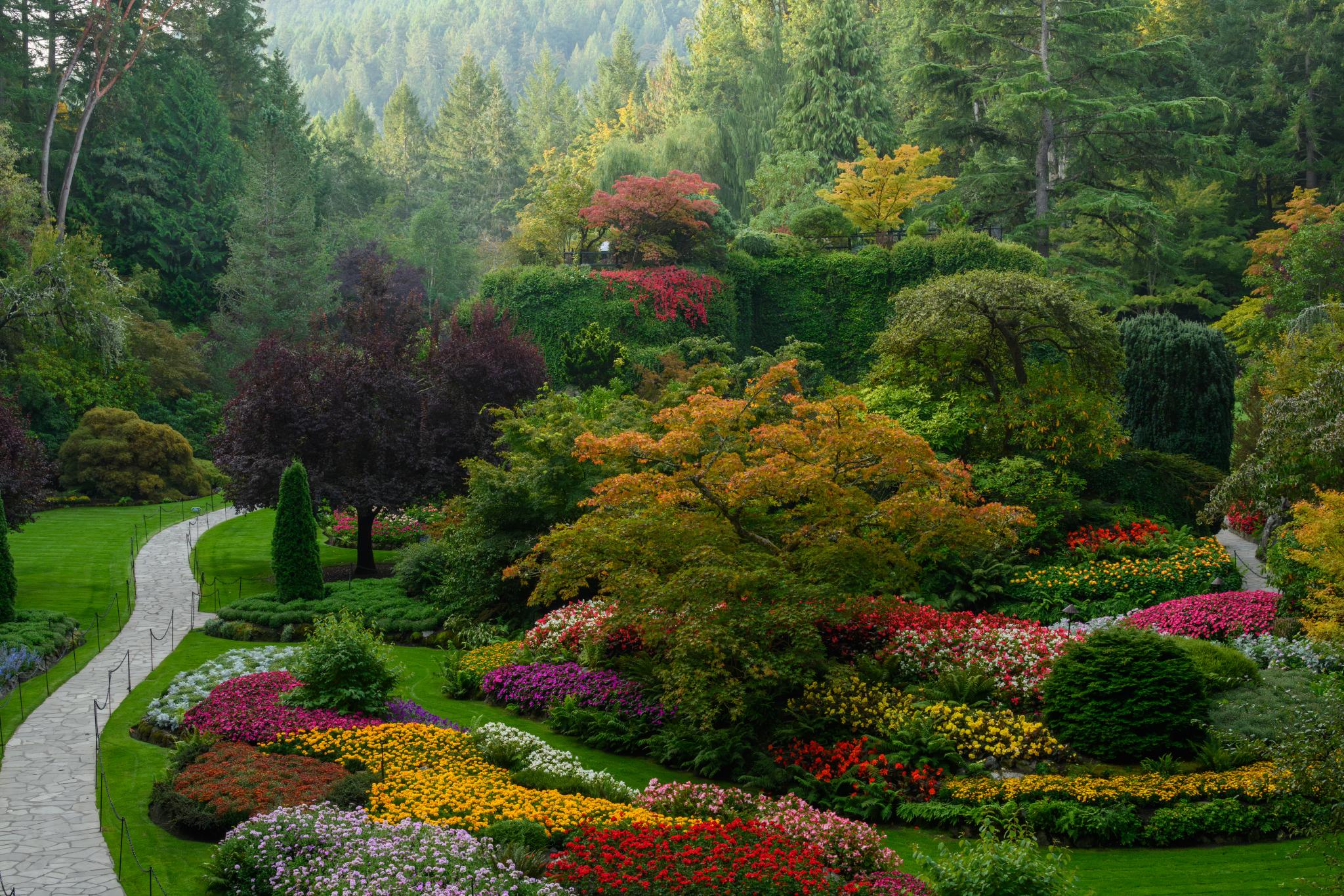 A landscaped garden featuring a variety of flowering plants and trees. Prominent colors include vibrant reds, yellows, and purples, with a mix of shrubs and ornamental trees. The scene includes a winding stone pathway leading through the garden, surrounded by lush greenery and a backdrop of tall trees