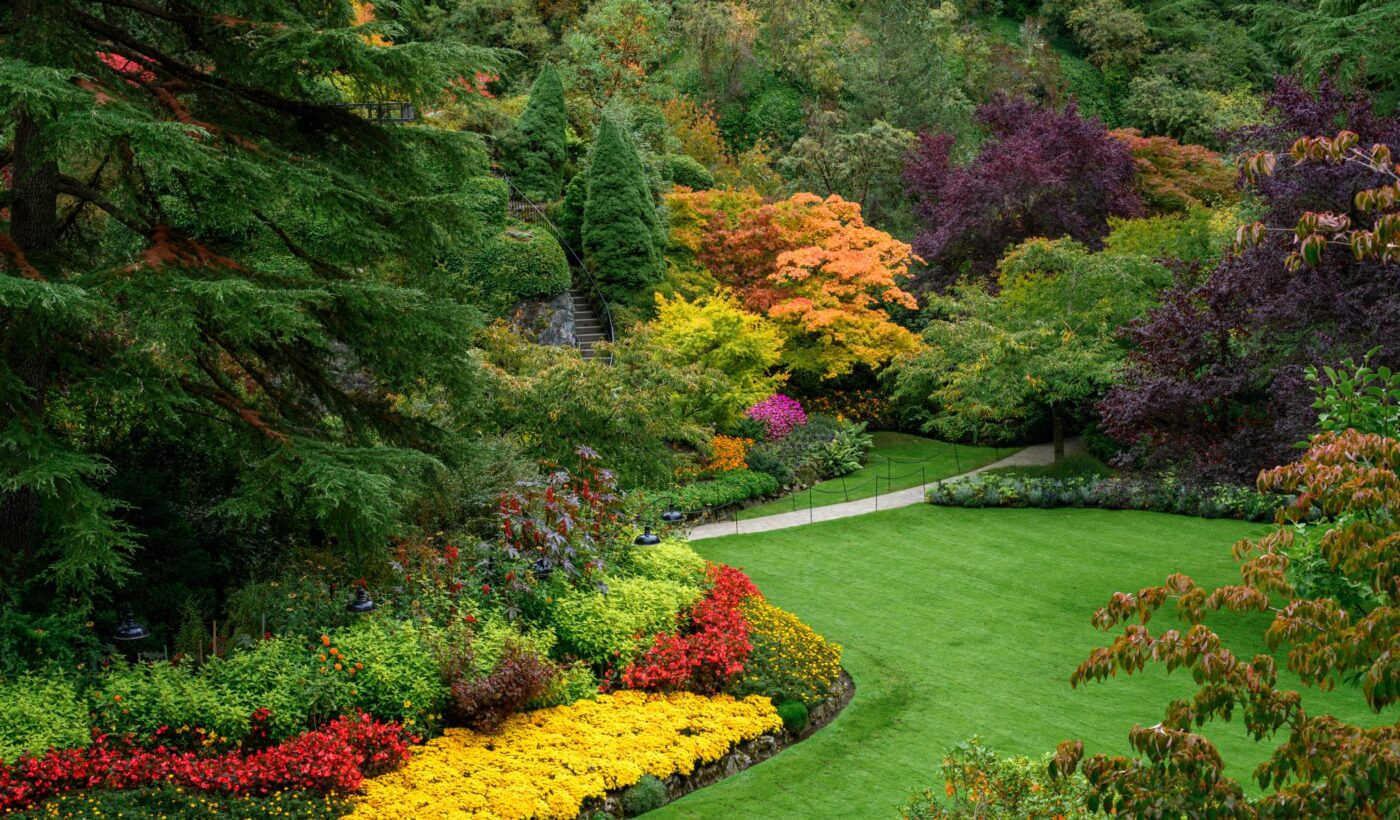 Photos in Season