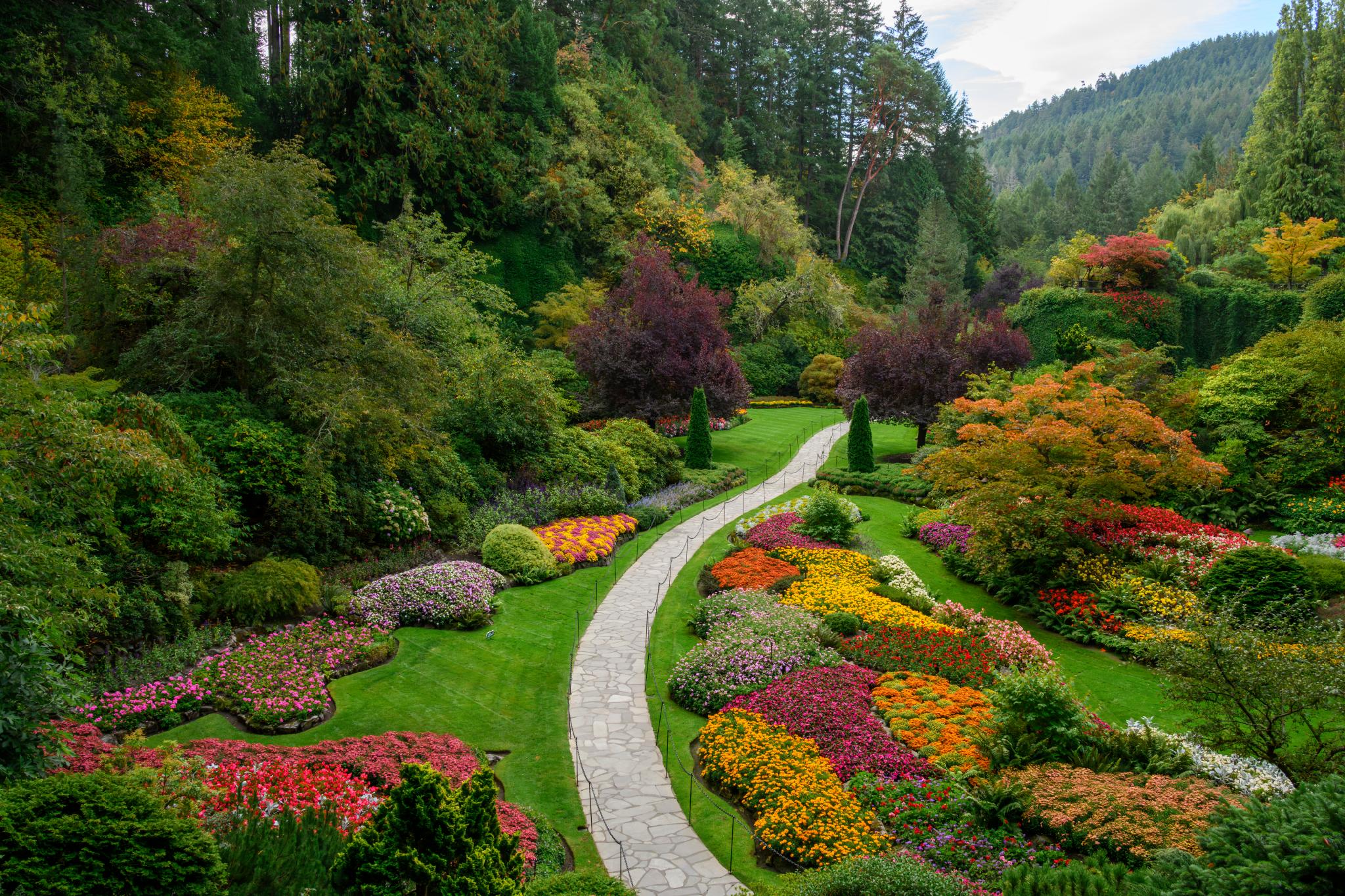 A landscaped garden featuring a winding stone pathway surrounded by vibrant flower beds in various colors, including pink, yellow, and purple blooms. The garden is bordered by lush green trees and shrubs, with some trees displaying autumn foliage in shades of red and orange