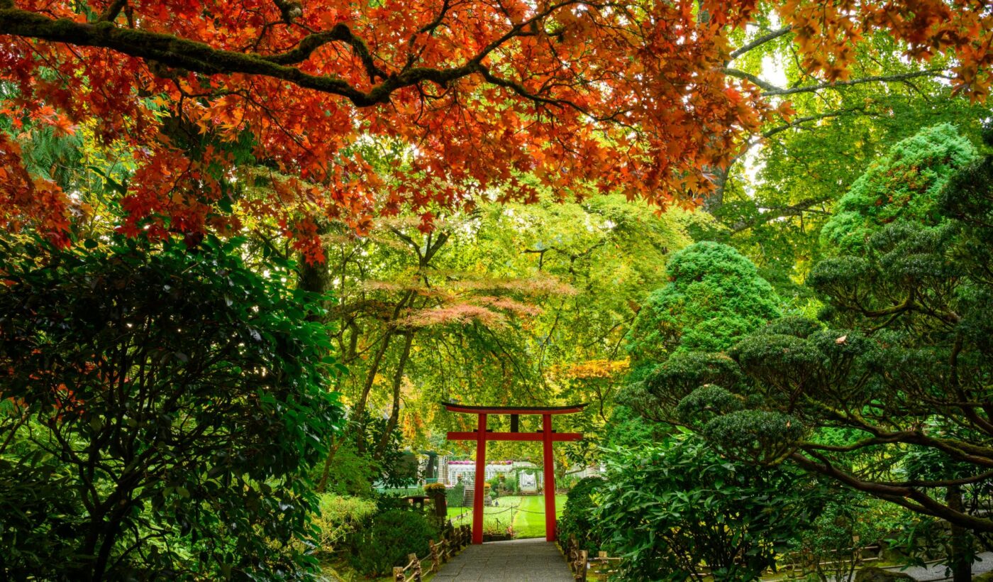 Rapport sur le jardin d&rsquo;octobre 2026