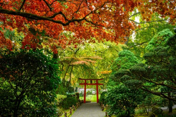 Rapport sur le jardin d&rsquo;octobre 2026