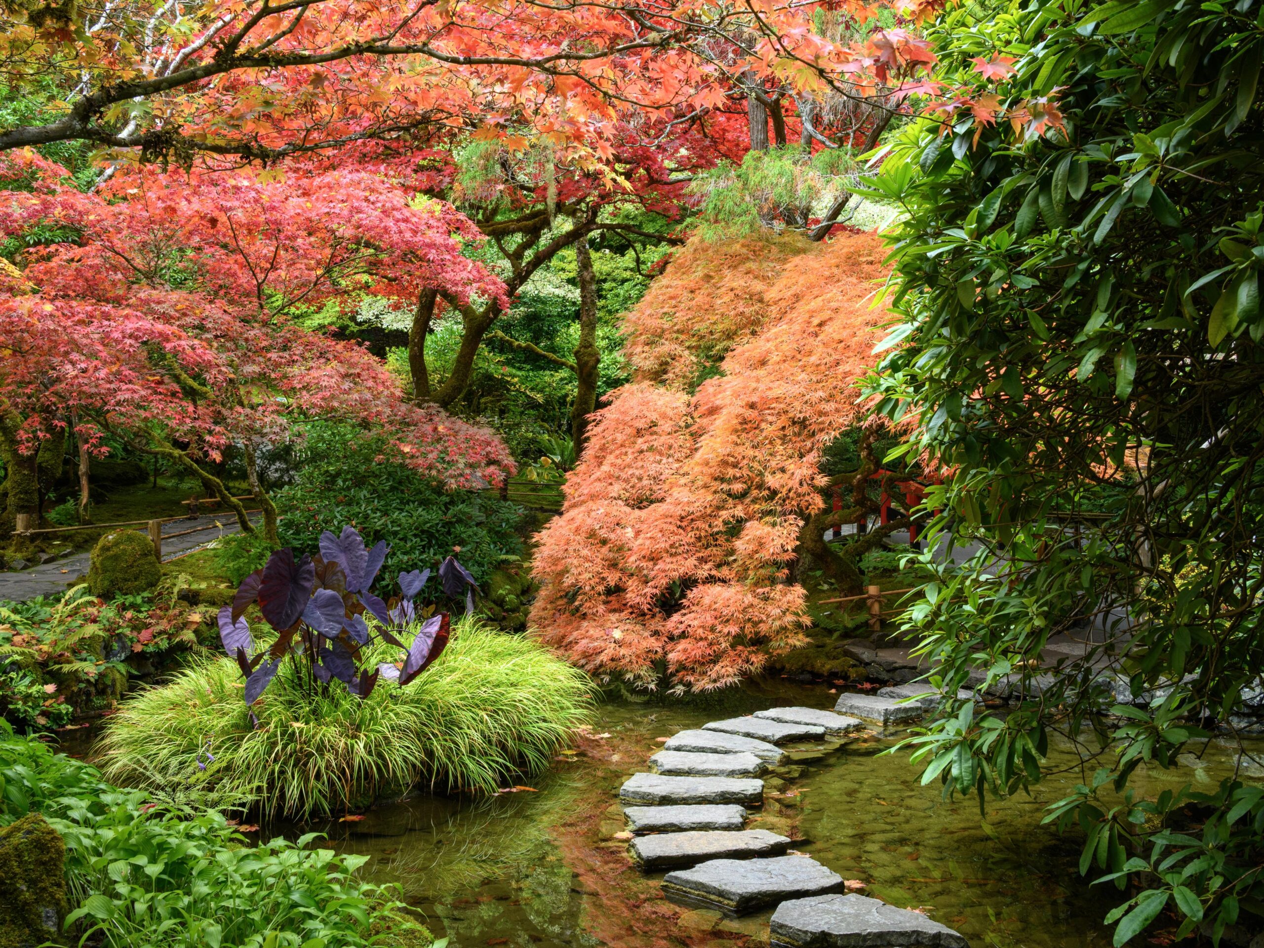 The Butchart Gardens
